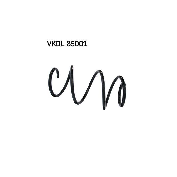 Spyruoklė SKF VKDL 85001