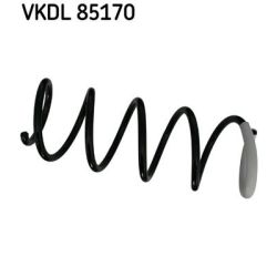 Spyruoklė SKF VKDL 85170