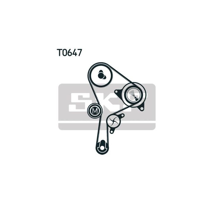 Paskirstymo diržo komplektas SKF VKMA 06129