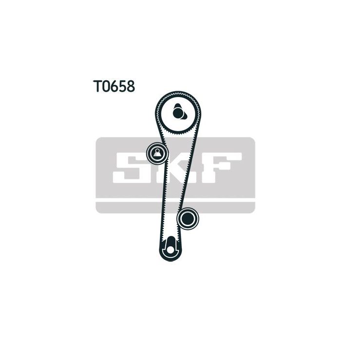 Paskirstymo diržo komplektas SKF VKMA 95667
