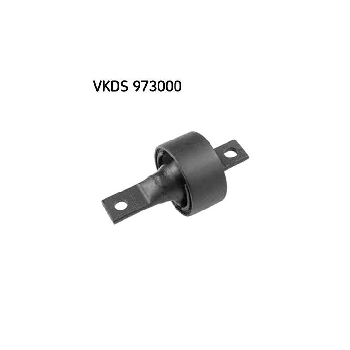 Ašies korpusas SKF VKDS 973000