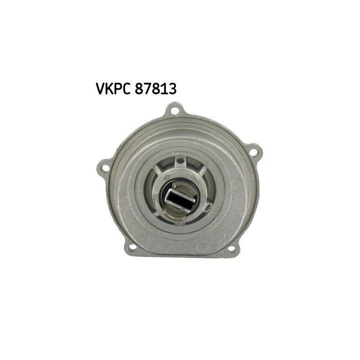 Vandens siurblys, variklio aušinimas SKF VKPC 87813