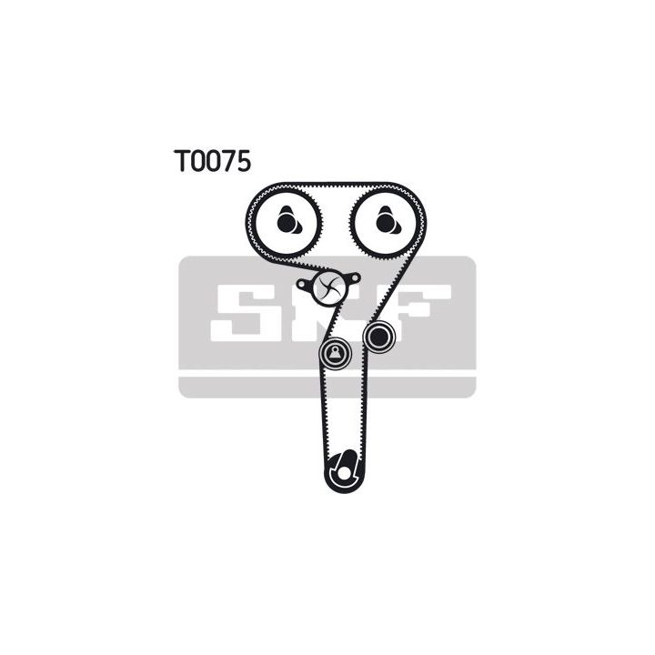 Vandens siurblio ir paskirstymo diržo komplektas SKF VKMC 02172