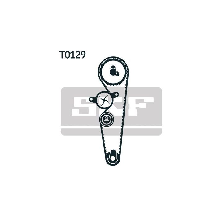 Vandens siurblio ir paskirstymo diržo komplektas SKF VKMC 02215-1