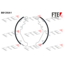 Stabdžių trinkelių komplektas FTE 9100062