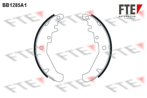 Stabdžių trinkelių komplektas FTE 9100062