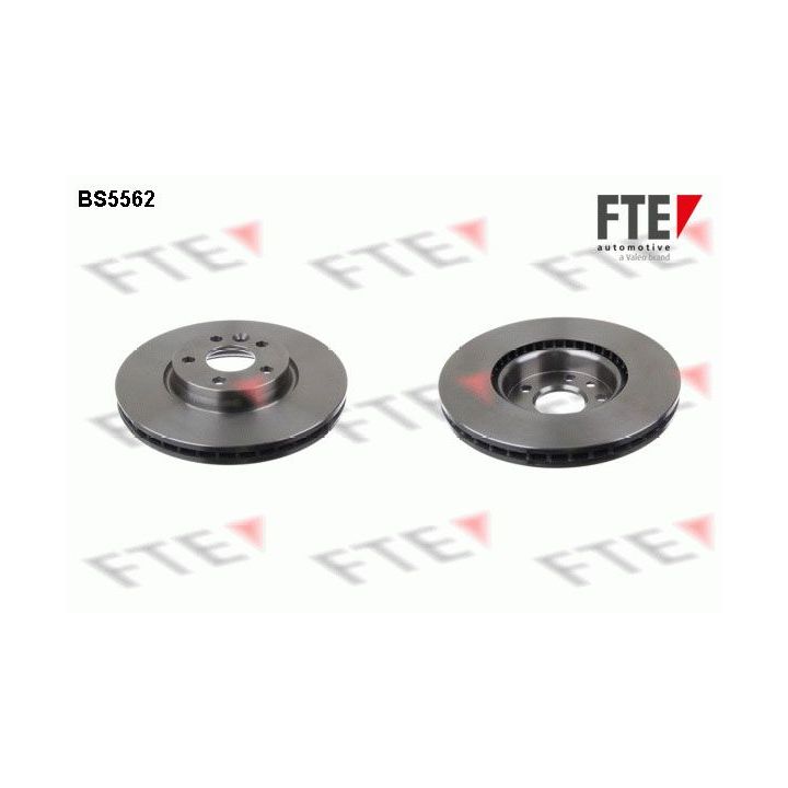 Stabdžių diskas FTE 9071006