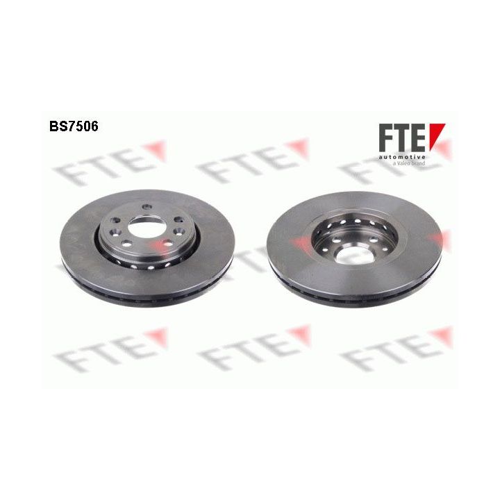 Stabdžių diskas FTE 9071033