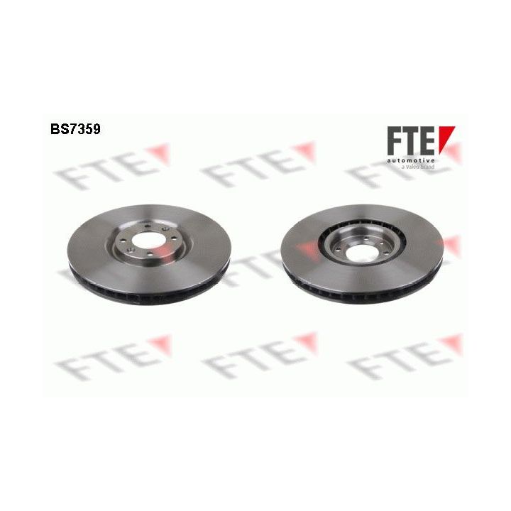 Stabdžių diskas FTE 9071113