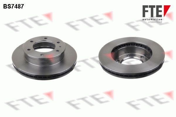 Stabdžių diskas FTE 9071153