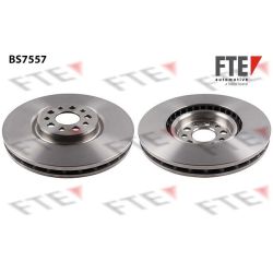 Stabdžių diskas FTE 9071188