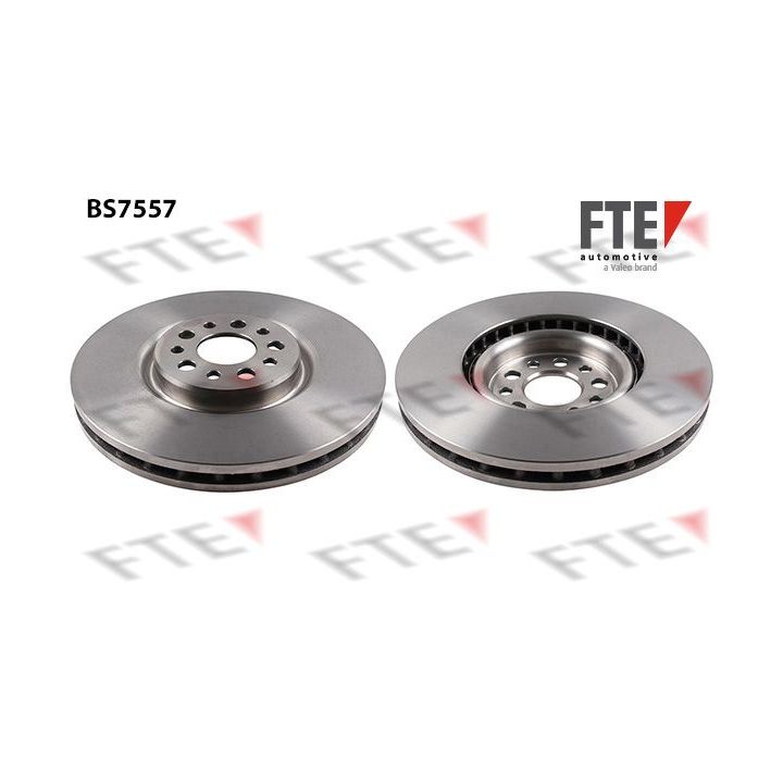 Stabdžių diskas FTE 9071188