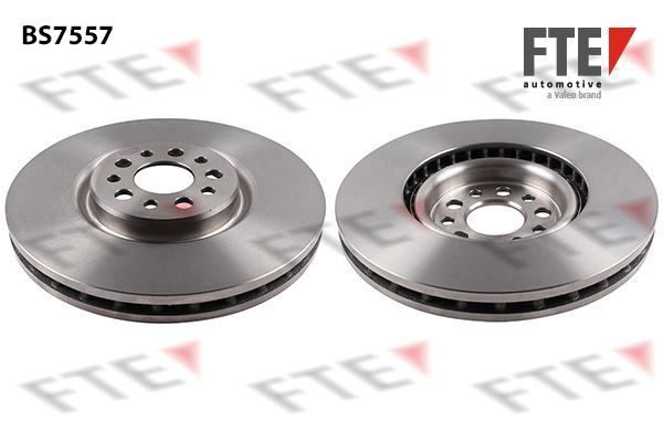 Stabdžių diskas FTE 9071188