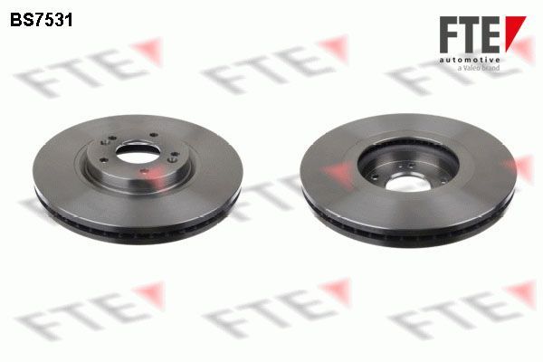 Stabdžių diskas FTE 9071336
