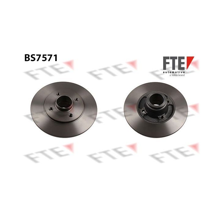 Stabdžių diskas FTE 9071339