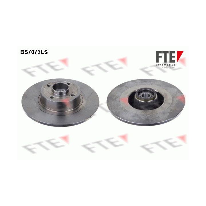 Stabdžių diskas FTE 9071393