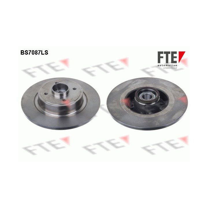 Stabdžių diskas FTE 9071394