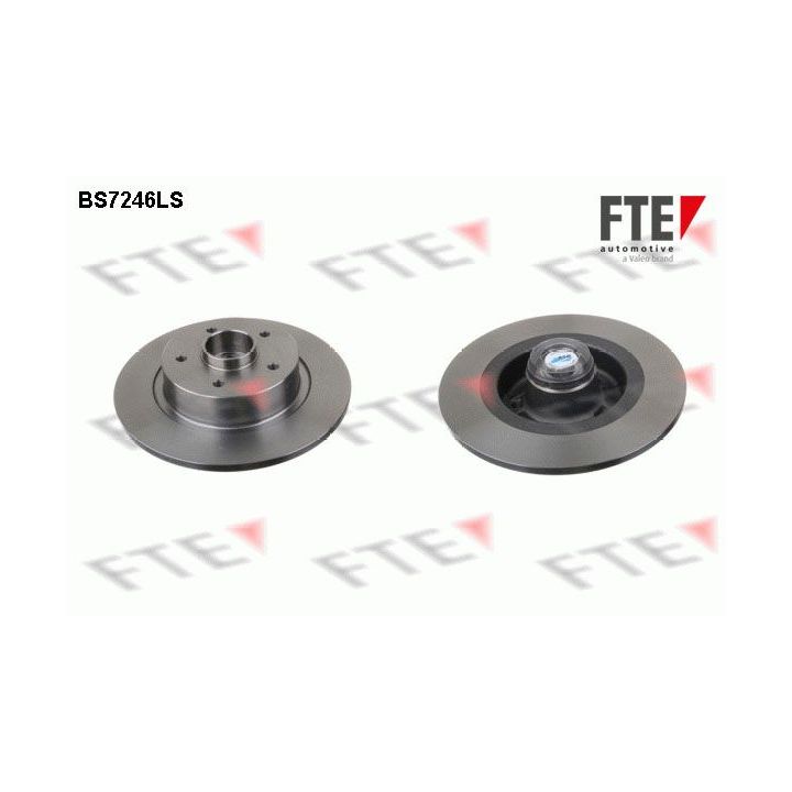 Stabdžių diskas FTE 9071398