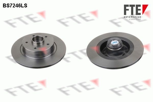 Stabdžių diskas FTE 9071398