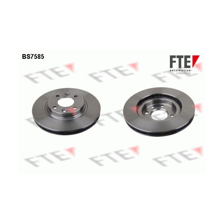 Stabdžių diskas FTE 9072036