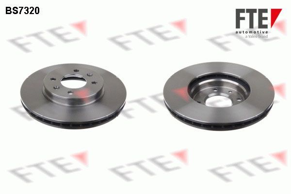 Stabdžių diskas FTE 9072056