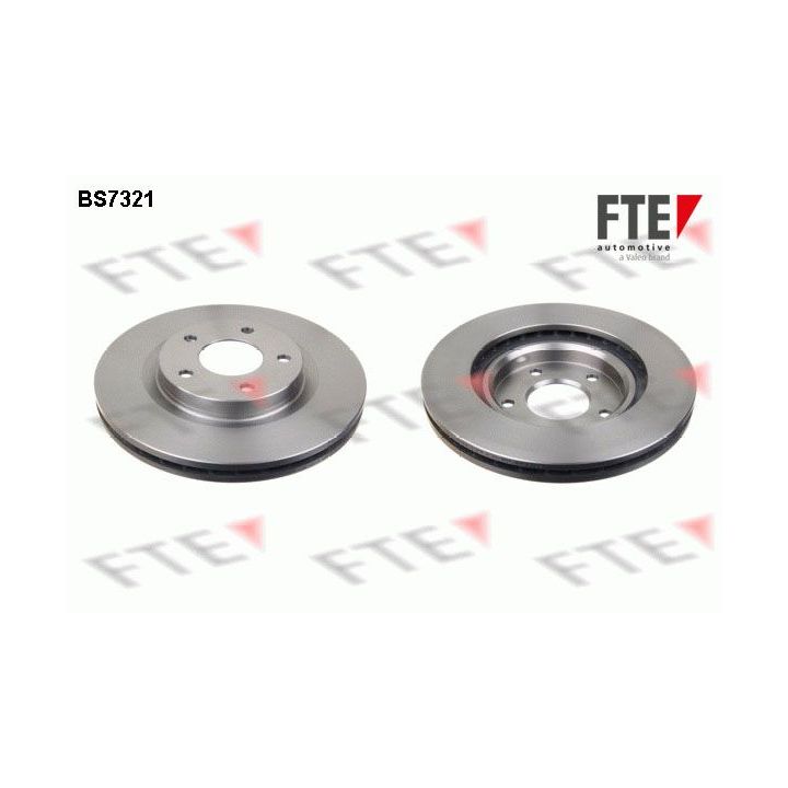 Stabdžių diskas FTE 9072182