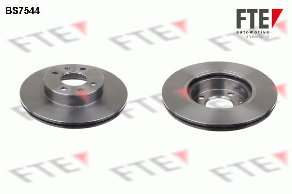 Stabdžių diskas FTE 9072188