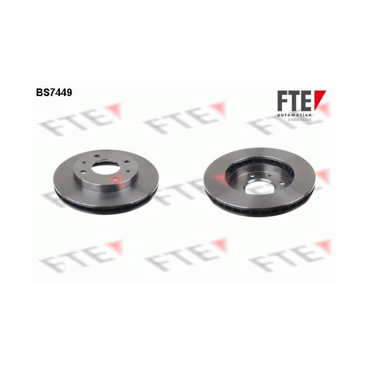Stabdžių diskas FTE 9072198