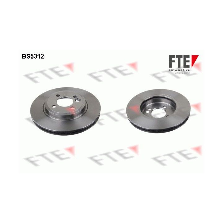 Stabdžių diskas FTE 9072281