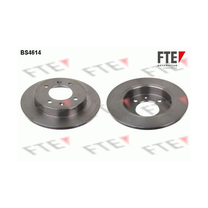 Stabdžių diskas FTE 9072312