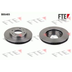 Stabdžių diskas FTE 9072313