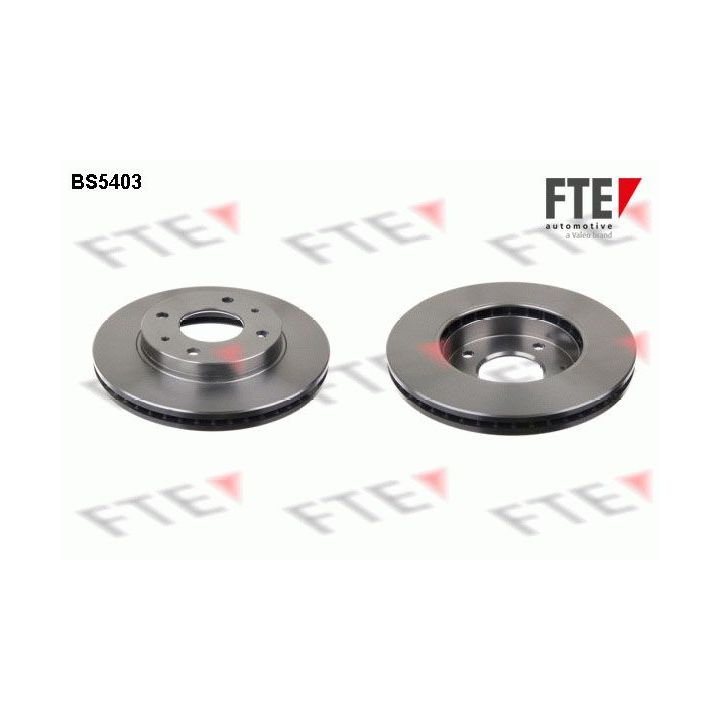 Stabdžių diskas FTE 9072313