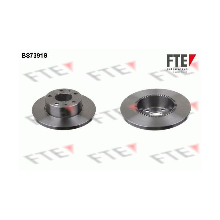 Stabdžių diskas FTE 9072396