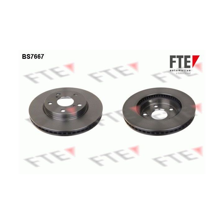 Stabdžių diskas FTE 9072444
