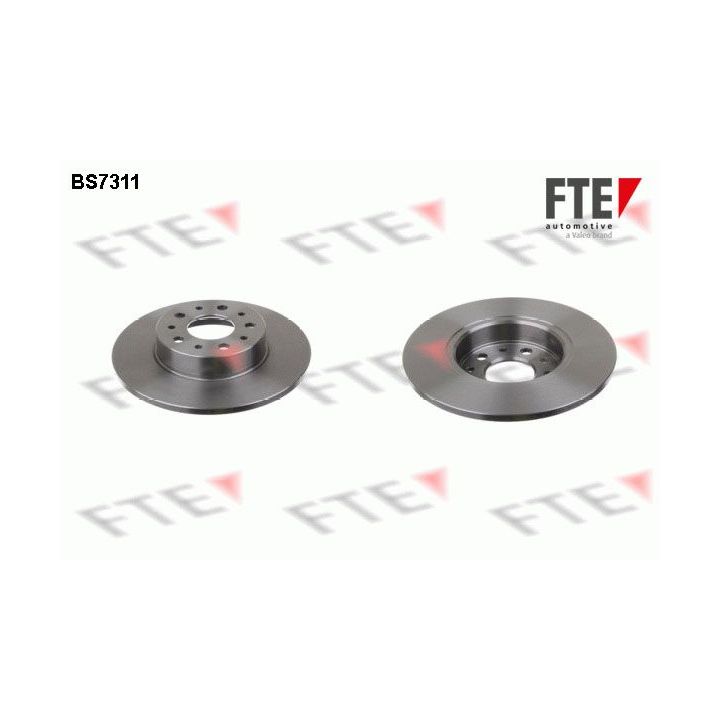 Stabdžių diskas FTE 9072448