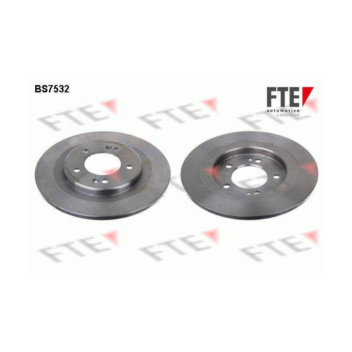 Stabdžių diskas FTE 9072451