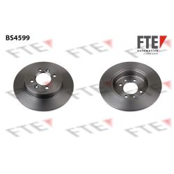 Stabdžių diskas FTE 9072452