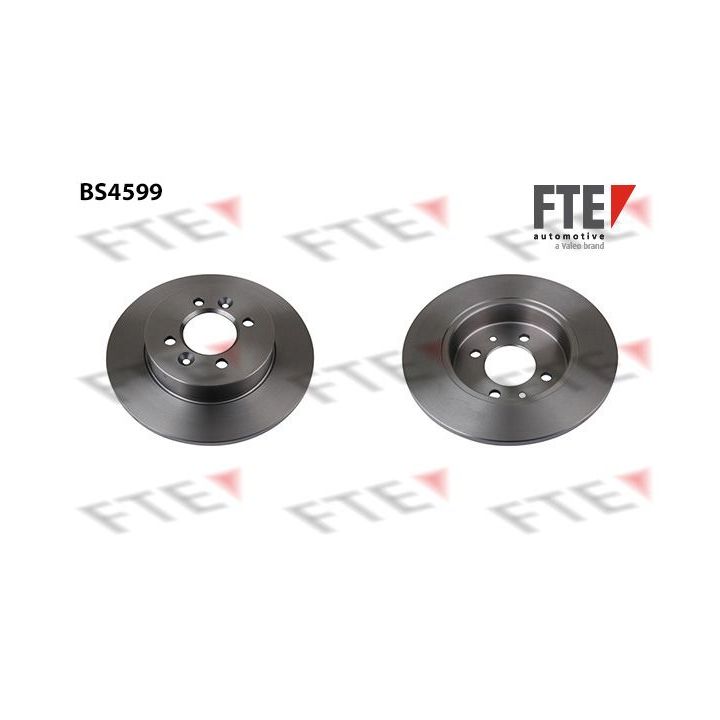 Stabdžių diskas FTE 9072452
