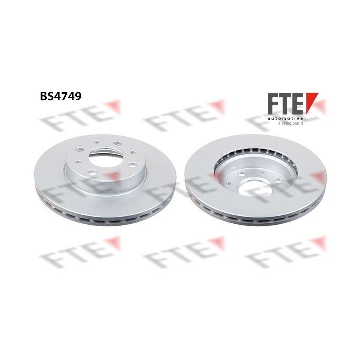 Stabdžių diskas FTE 9072453