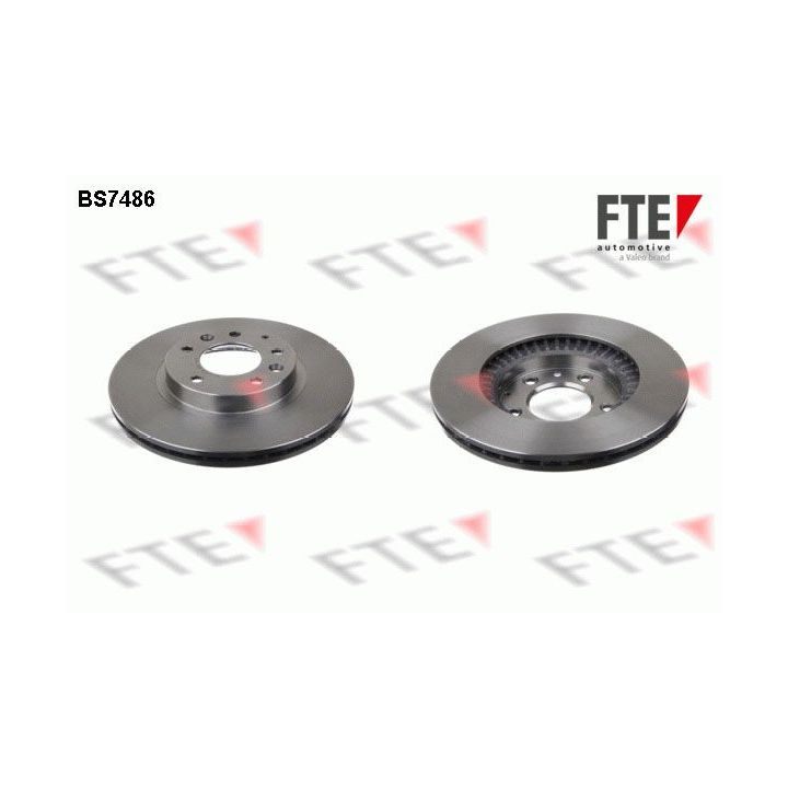 Stabdžių diskas FTE 9072456