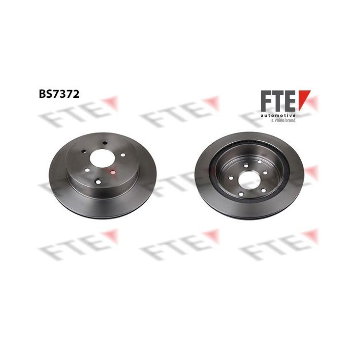 Stabdžių diskas FTE 9072482