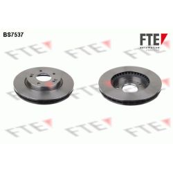 Stabdžių diskas FTE 9072499