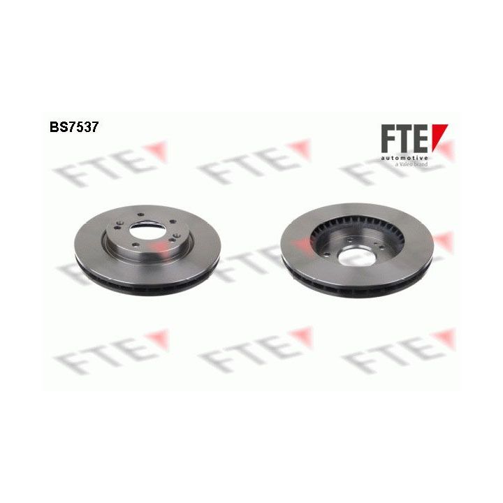 Stabdžių diskas FTE 9072499