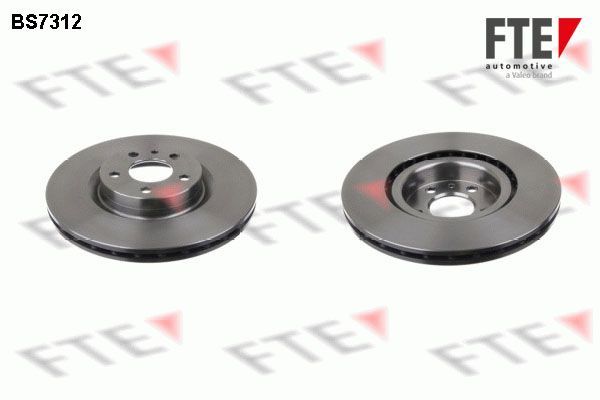 Stabdžių diskas FTE 9072533