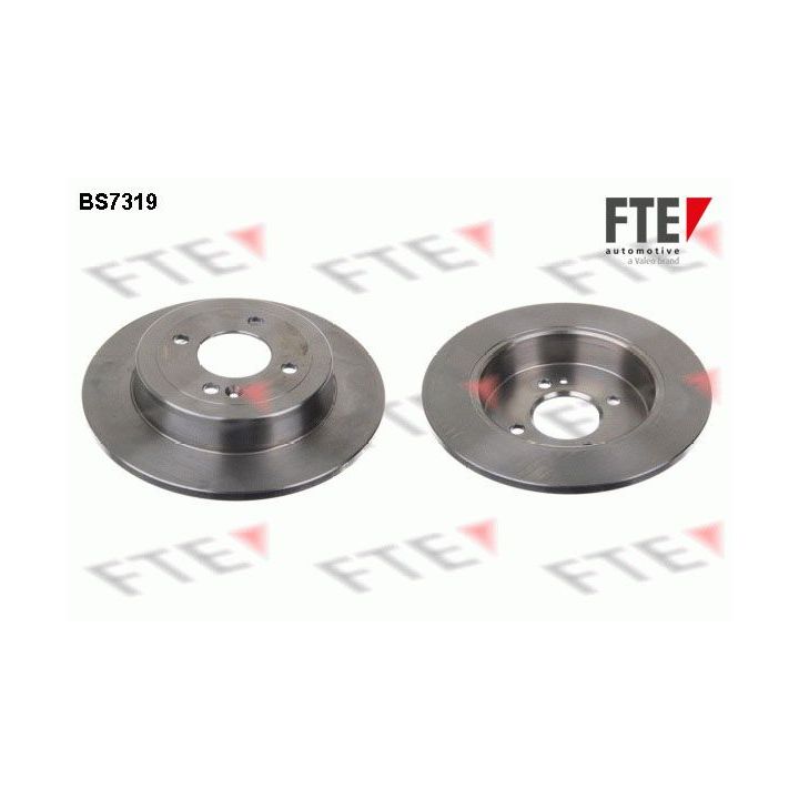Stabdžių diskas FTE 9072542
