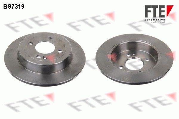 Stabdžių diskas FTE 9072542