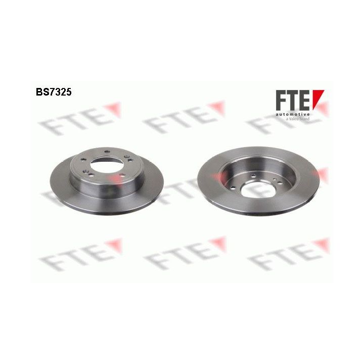 Stabdžių diskas FTE 9072551