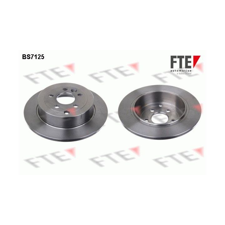 Stabdžių diskas FTE 9072567