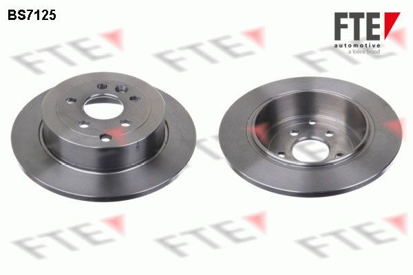 Stabdžių diskas FTE 9072567