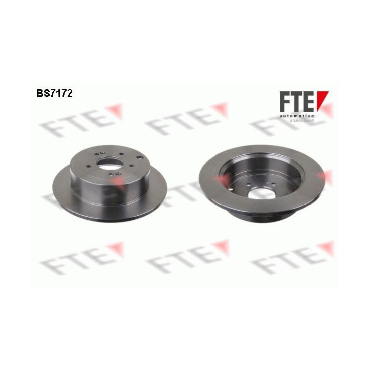 Stabdžių diskas FTE 9072574